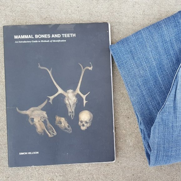 Citizens of Humanity Kelly 001 bootcut jeans - Picture 9 of 9